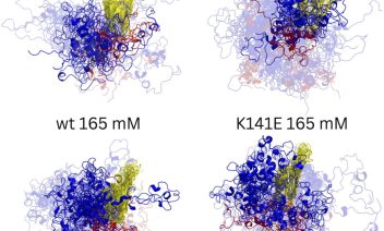1-s2.0-S1355814525000318-gr3_lrg
